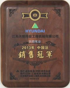 中國區(qū)現(xiàn)代挖掘機(jī)銷售冠軍2013年